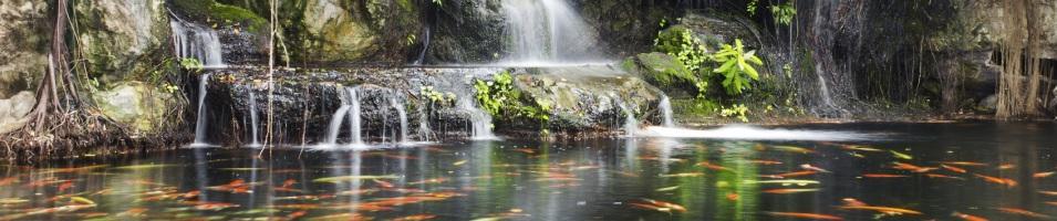 Japanese Garden Waterfall